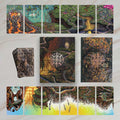 Unlock Your Destiny with The Oracle of Many Paths: A Stunning Tarot Experience